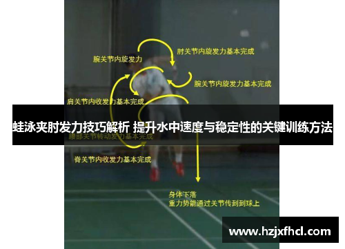 蛙泳夹肘发力技巧解析 提升水中速度与稳定性的关键训练方法