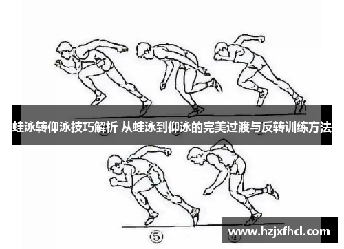 蛙泳转仰泳技巧解析 从蛙泳到仰泳的完美过渡与反转训练方法