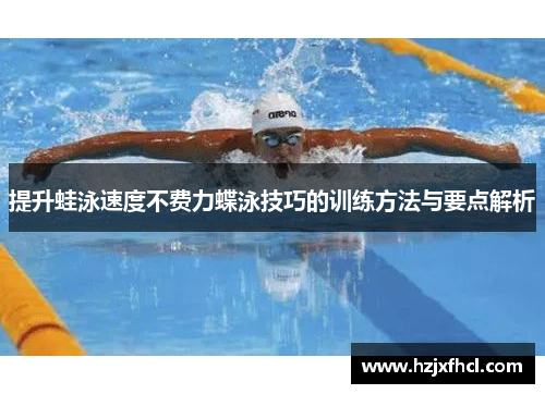 提升蛙泳速度不费力蝶泳技巧的训练方法与要点解析